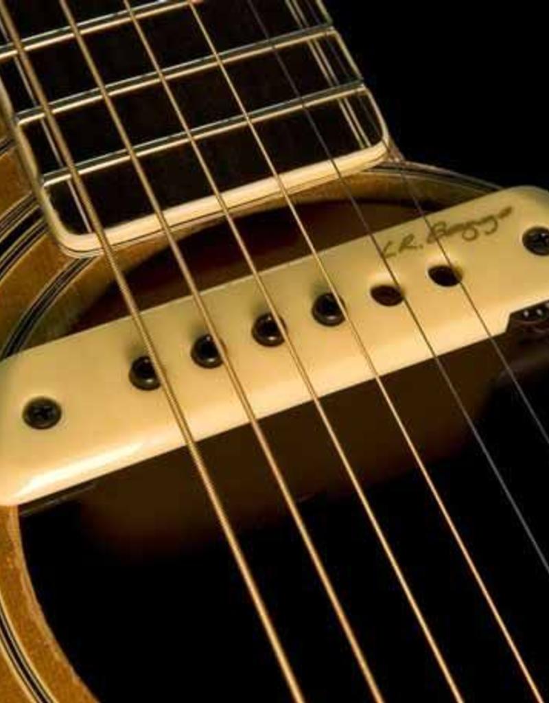 LR Baggs LR Baggs M1A Active klankgat element