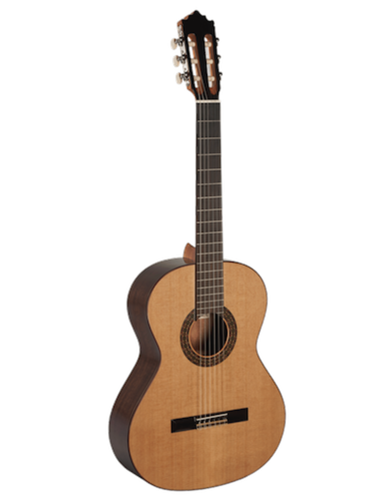 Paco Castillo Paco Castillo 202