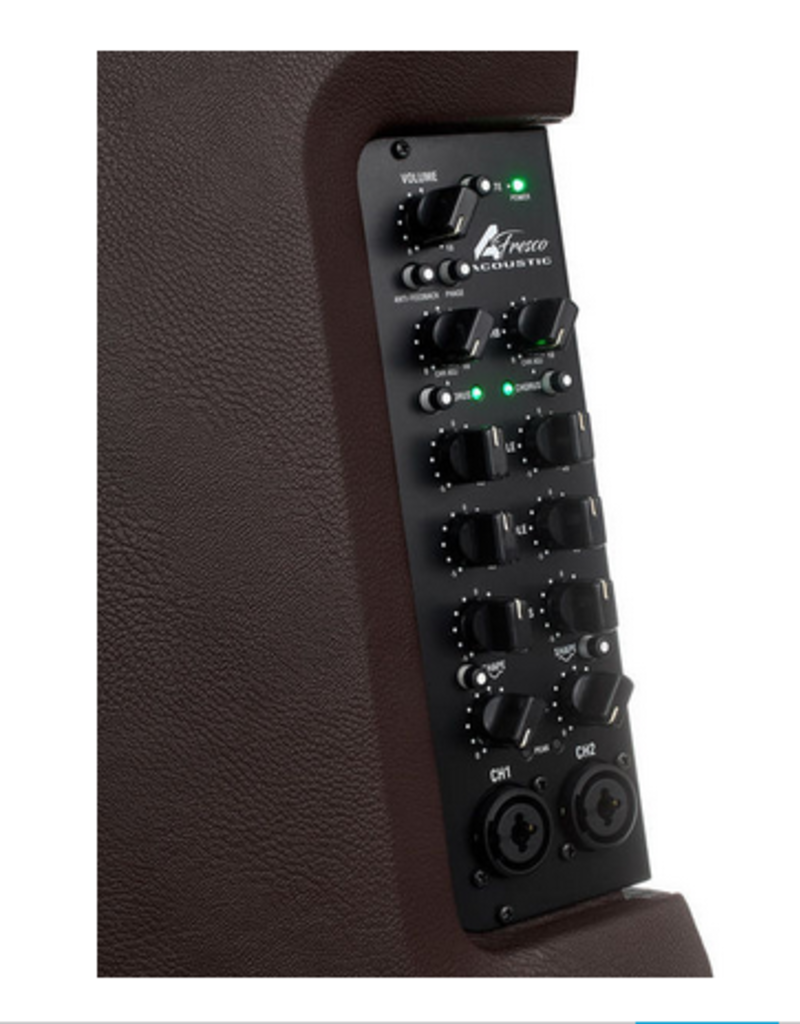 Laney Laney A-Fresco akoestische versterker combo