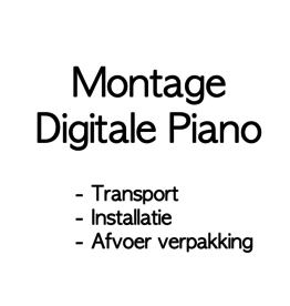 Montage service digitale piano