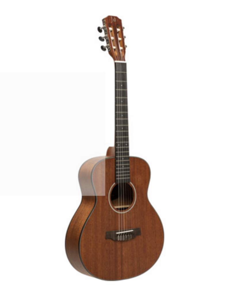 James Neligan James Neligan Mini OM nylon string Sapele