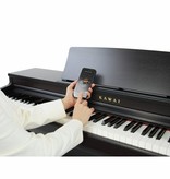 Kawai Kawai CN201B