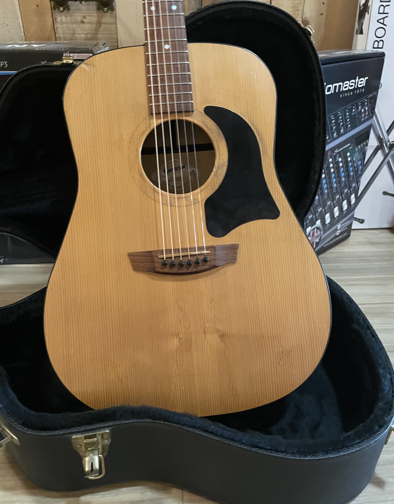 Garrison G30 incl Fishman element en koffer | Occasion