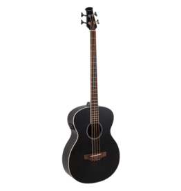 Applause Classics AEB96-5E Jumbo Acoustic Bass