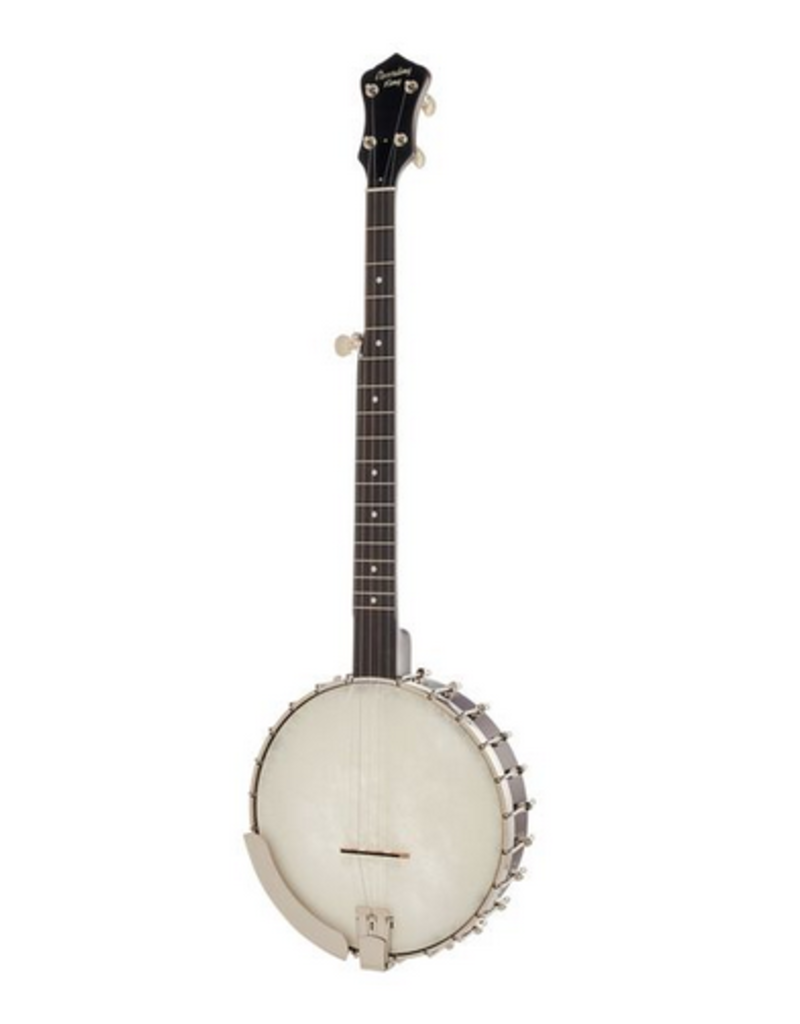 Recording king Recording King RK-OT25 BR banjo