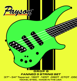 Payson Payson DROP G 5 String Fanned Fret Multi-Scale Bass Set Nickel steel