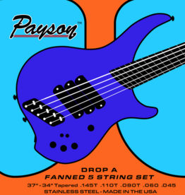 Payson Payson DROP A 5 String Fanned Fret Multi-Scale Bass Set Stainless steel
