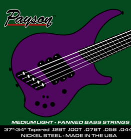Payson Payson Fanned Fret Nickel Steel 5 String Bass String Set-Medium Light