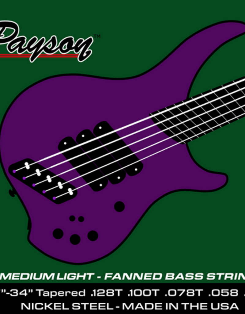 Payson Payson Fanned Fret Nickel Steel 5 String Bass String Set-Medium Light