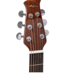 applause Applause Wood Classic Dreadnought Natural Gloss