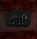 applause Applause Wood Cutaway Electro