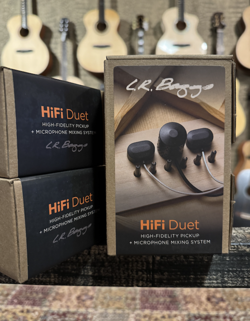 LR Baggs LR Baggs HiFi Duet pickup system