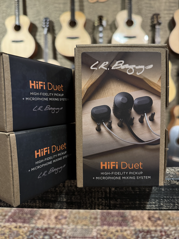 L.R. Baggs HiFi Duet アコギピックアップ