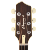 LR Baggs LR BAGGS AEG­1 Acoustic Electric Guitar­ Natural
