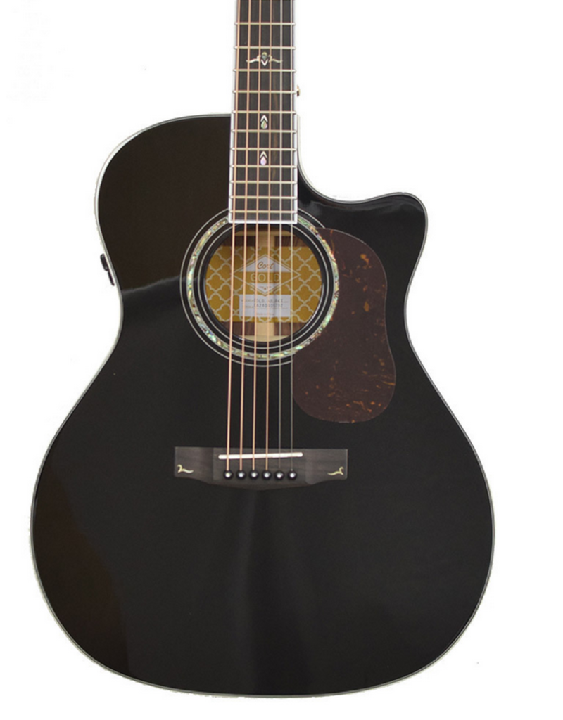 Cort Cort Gold A8 Black gloss solid rosewood
