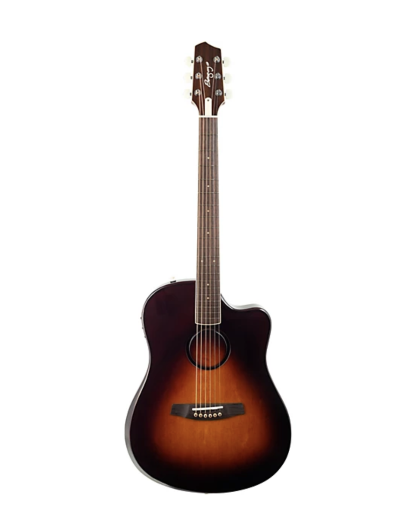 LR Baggs LR Baggs AEG1 sunburst akoestisch/electrische gitaar