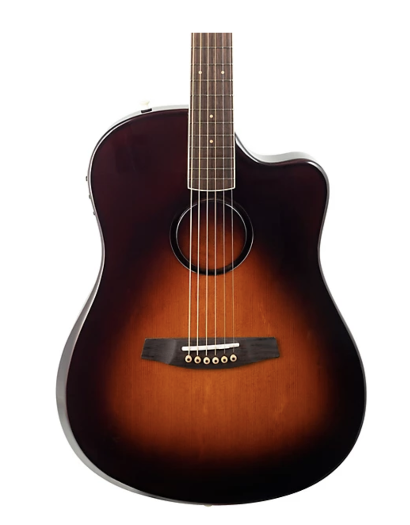 LR Baggs LR Baggs AEG1 sunburst akoestisch/electrische gitaar