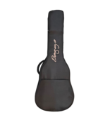 LR Baggs LR Baggs AEG1 sunburst akoestisch/electrische gitaar