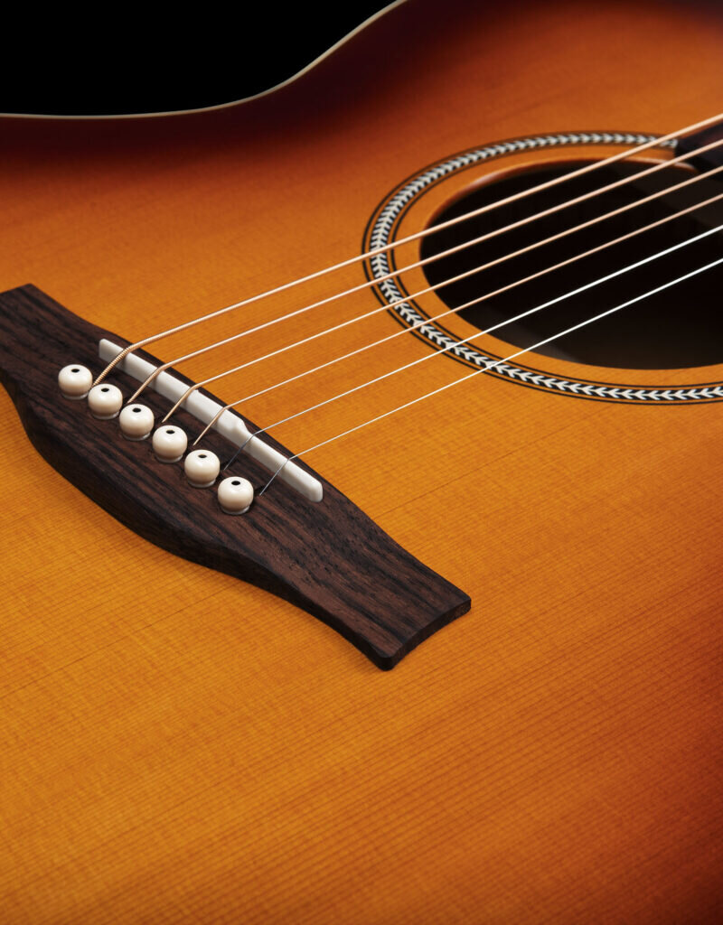 Seagull Seagull Entourage Mini Jumbo Rustic Burst