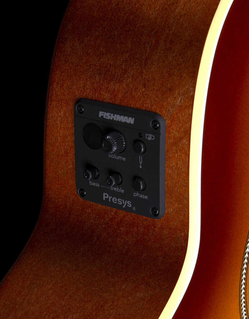 Seagull Seagull Entourage Rustic Burst CH CW EQ