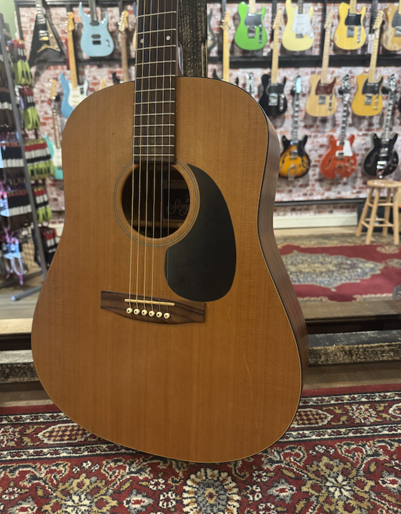 Seagull Seagull S6 | Occasion