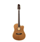LR Baggs LR BAGGS AEG­1 Acoustic Electric Guitar­ Torrefied