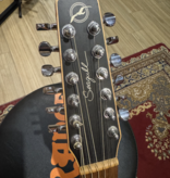 Seagull Coastline S12 (12 snarige gitaar) | Occasion