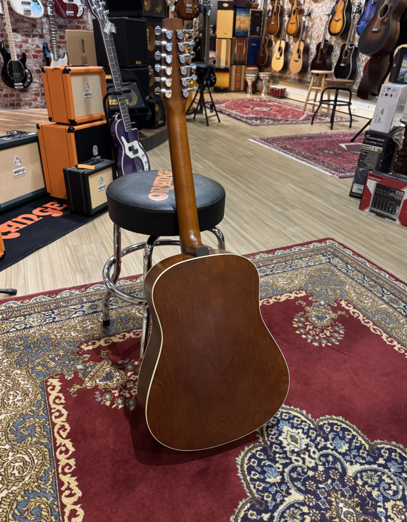 Seagull Coastline S12 (12 snarige gitaar) | Occasion