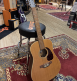 Seagull Coastline S12 (12 snarige gitaar) | Occasion