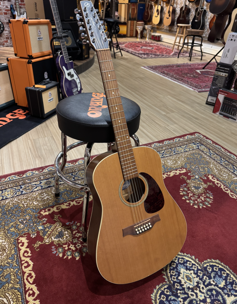 Seagull Coastline S12 (12 snarige gitaar) | Occasion