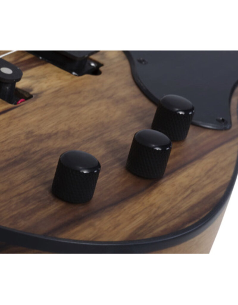 Schecter Schecter Model-T 4 Exotic black Limba