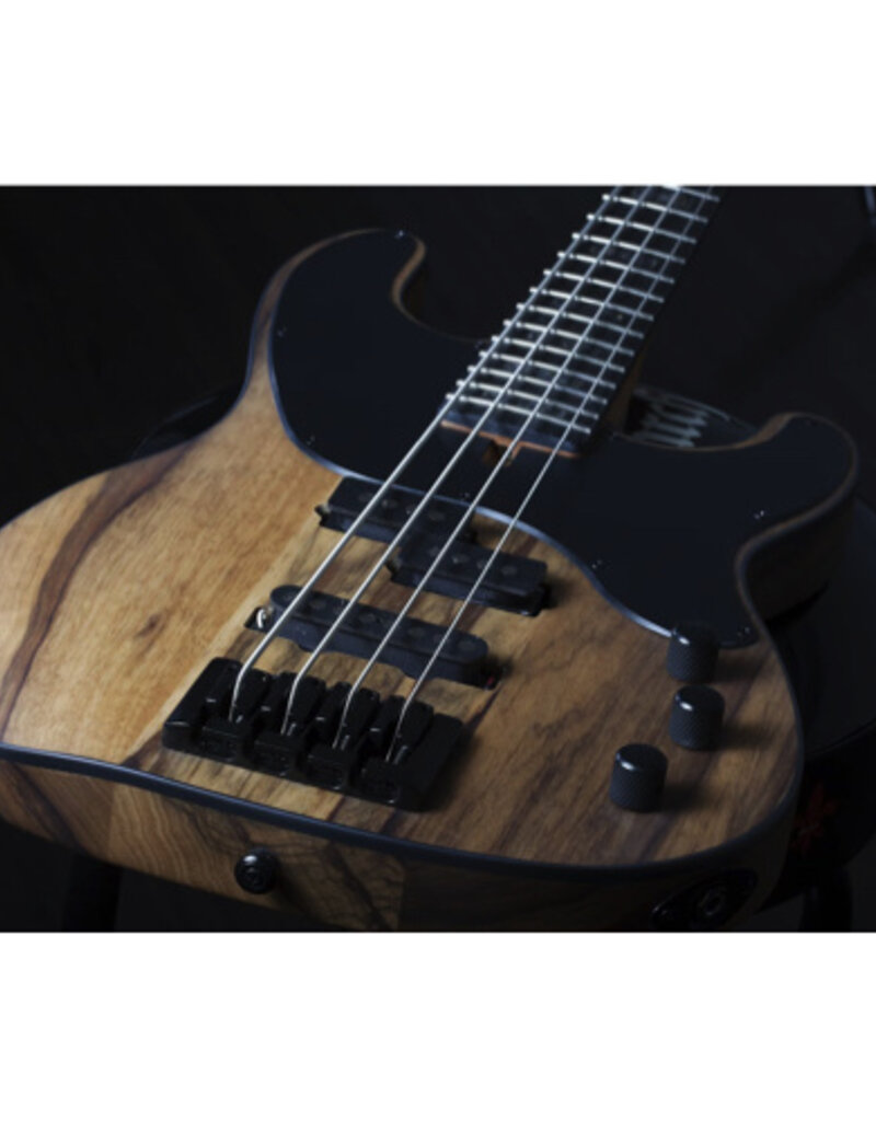 Schecter Schecter Model-T 4 Exotic black Limba
