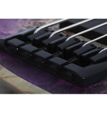 Schecter Schecter Riot 5 aurora burst