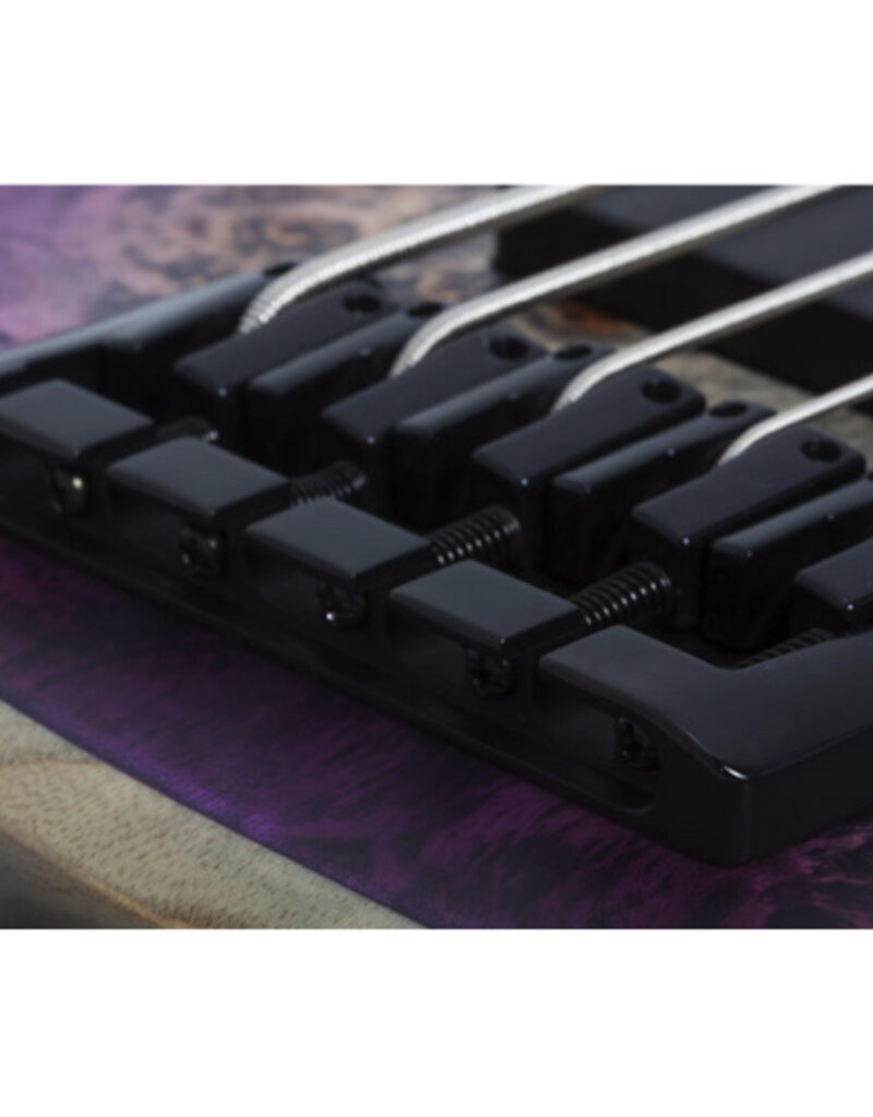 Schecter Schecter Riot 5 aurora burst