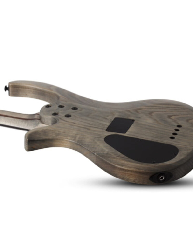 Schecter Schecter Riot 5 aurora burst