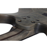 Schecter Schecter Riot 5 aurora burst