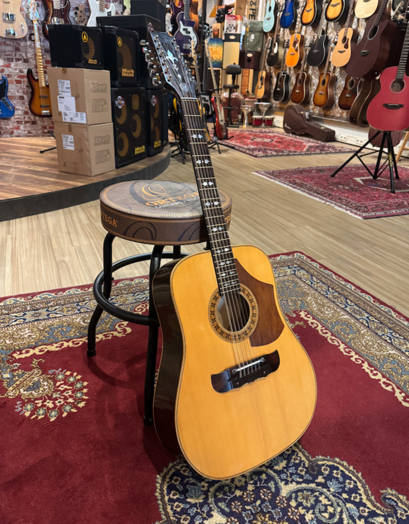 Bert Kwakkel Bert Kwakkel 12 string dreadnought nr. 2 (1975)