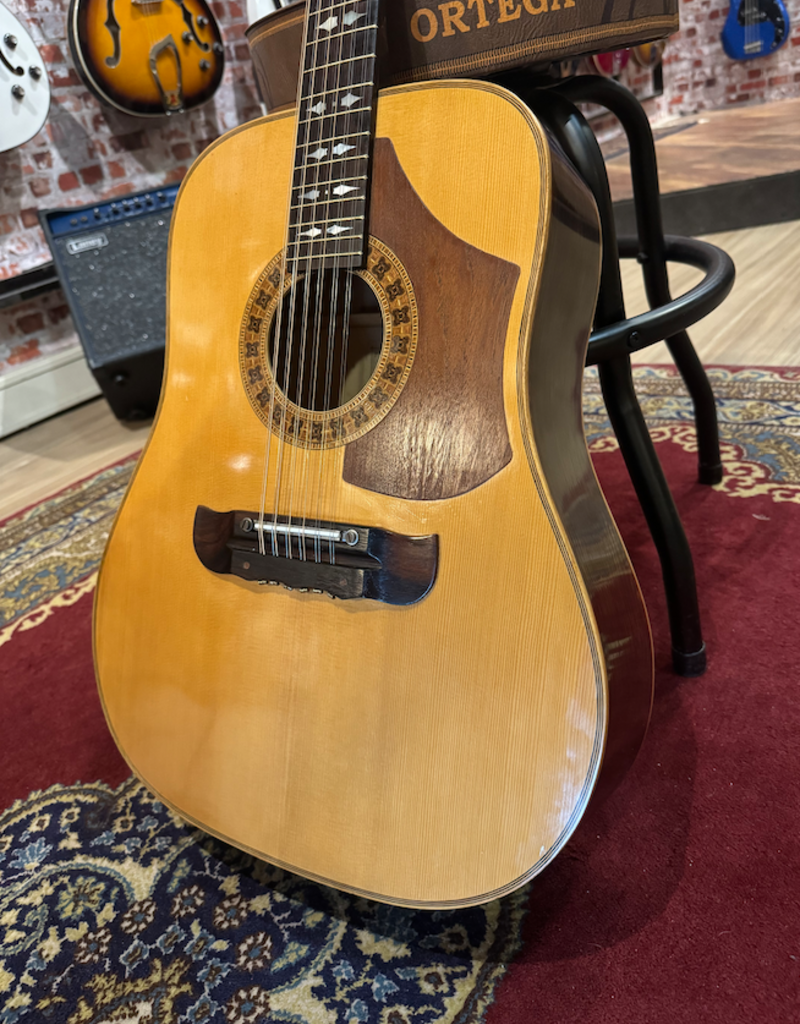 Bert Kwakkel Bert Kwakkel 12 string dreadnought nr. 2 (1975)