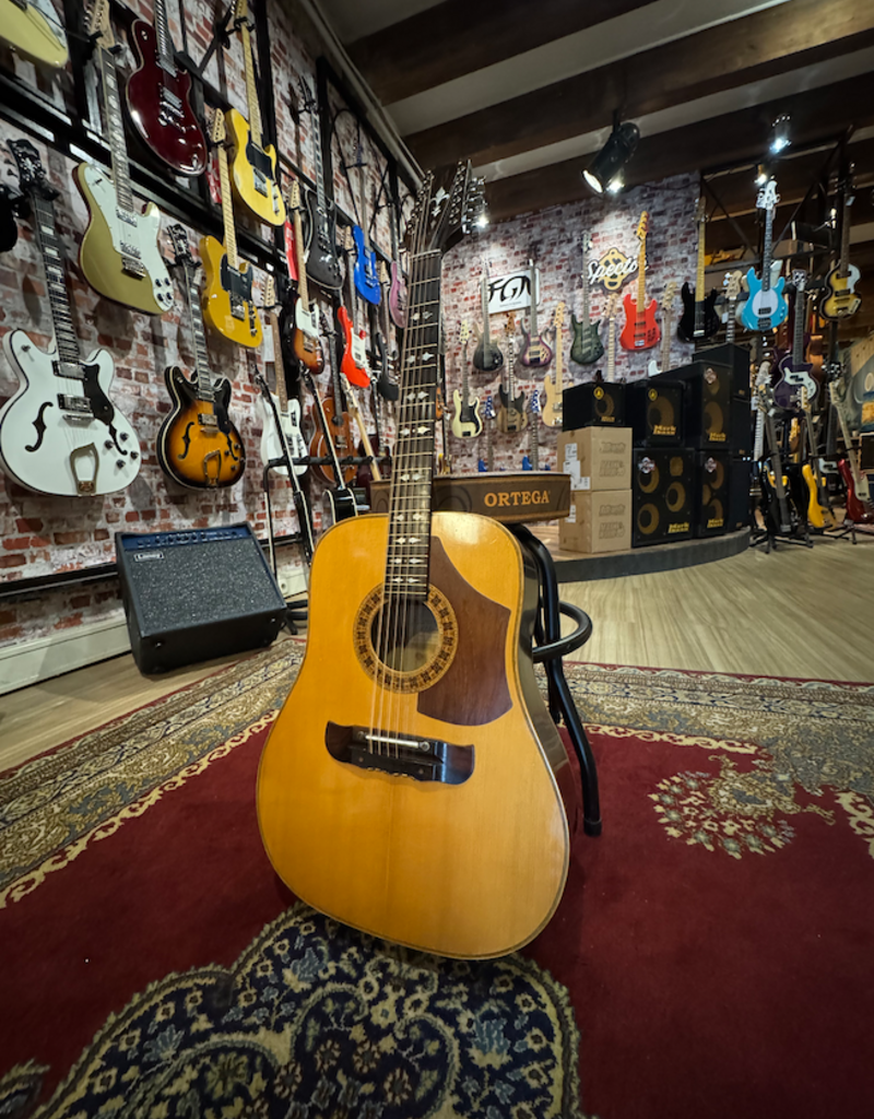 Bert Kwakkel Bert Kwakkel 12 string dreadnought nr. 2 (1975)