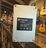 polyend Polyend Endless delay
