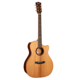 Cort Cort Gold Edge