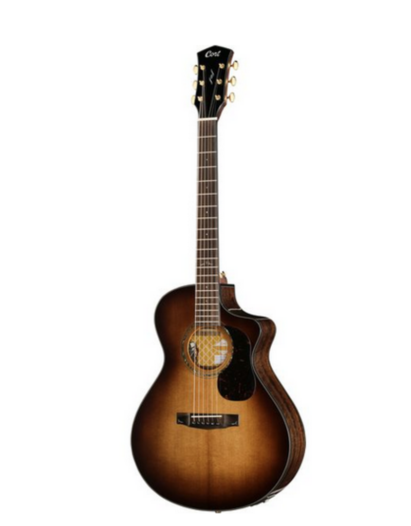 Cort Cort Gold MC6 Light burst