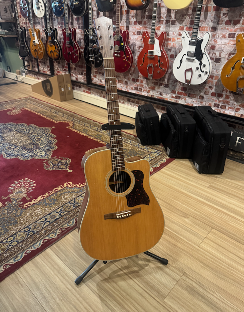 Eastman AC220CE | Occasion