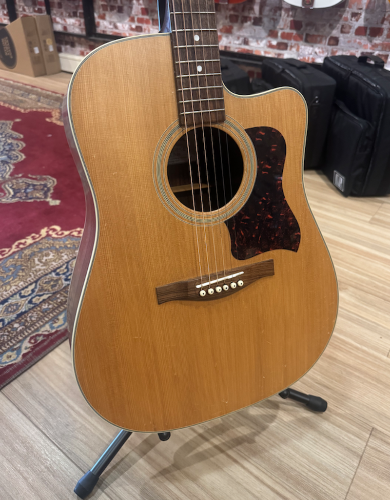 Eastman AC220CE | Occasion