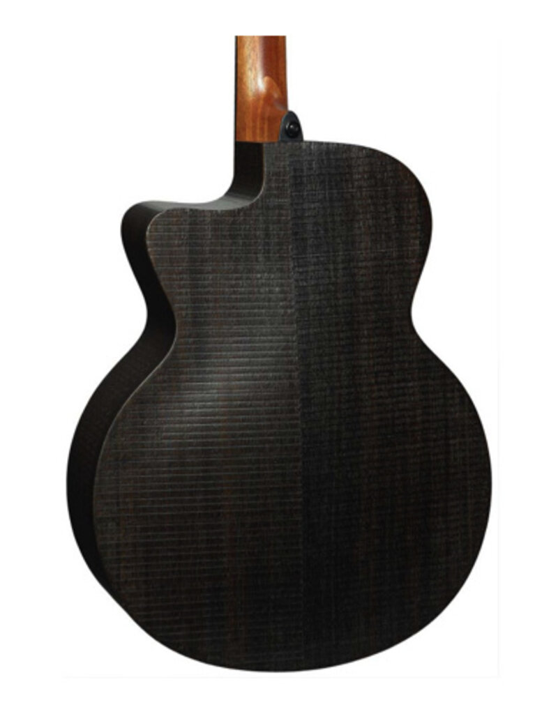 LAG Lag Sauvage Fretless Acoustic Bass