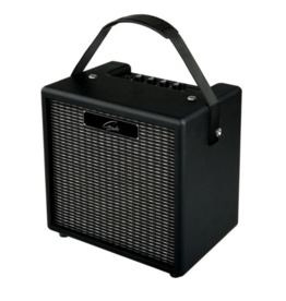 Gould Gould Guitar Amp 10W incl overdrive en delay
