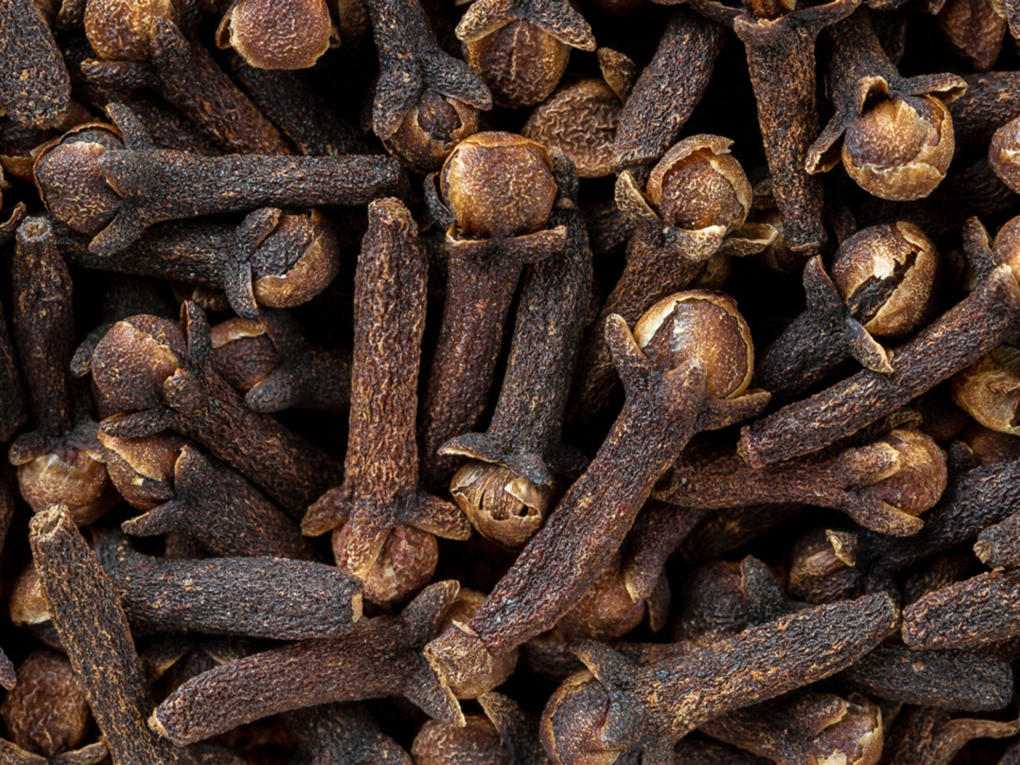 kruidnagel tegen vliegjes