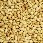 De Notenshop De Notenshop - Erdnüsse geröstet ungesalzen