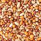 De Notenshop Borrel Mix - De Notenshop