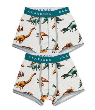 Claesen's Boxershort Dinosaur 2-pack